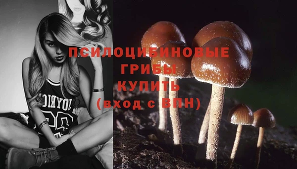 Альфа ПВП Алексеевка