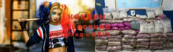 хмурый Аркадак