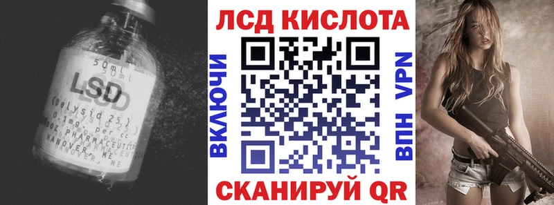 Купить закладки  Шарья  ЛСД экстази ecstasy 
