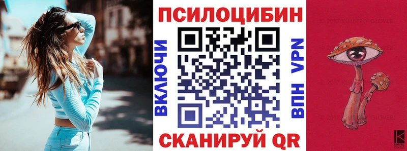 Галлюциногенные грибы Psilocybe  Купить где  Шарья 