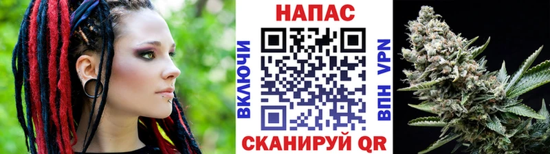 Купить где  Шарья  МАРИХУАНА SATIVA & INDICA 